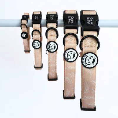 On se la Pet - Collier pour chien rembourré et résistant - Beige Tropical