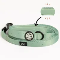 On se la Pet - Laisse pour chien avec poignée rembourrée - Vert Pastel