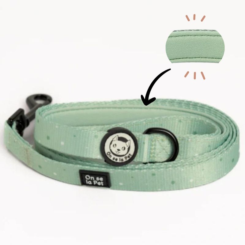 On se la Pet - Laisse pour chien avec poignée rembourrée - Vert Pastel
