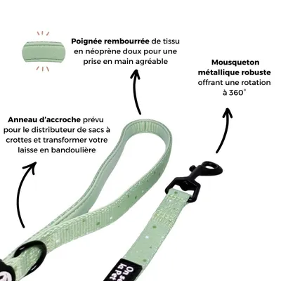 On se la Pet - Laisse pour chien avec poignée rembourrée - Vert Pastel