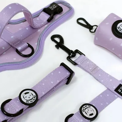 On se la Pet - Laisse pour chien avec poignée rembourrée - Lilas