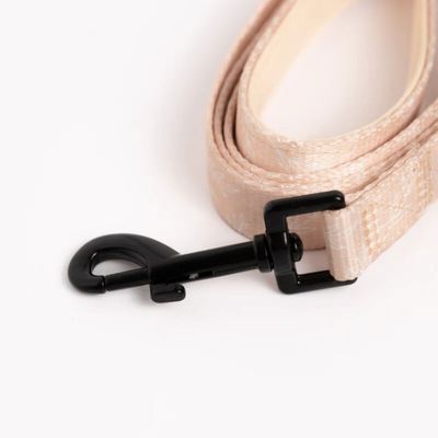 On se la Pet - Laisse pour chien avec poignée rembourrée - Beige Tropical