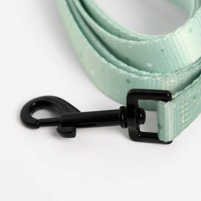 On se la Pet - Laisse pour chien avec poignée rembourrée - Vert Pastel