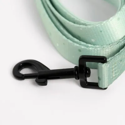 On se la Pet - Laisse pour chien avec poignée rembourrée - Vert Pastel