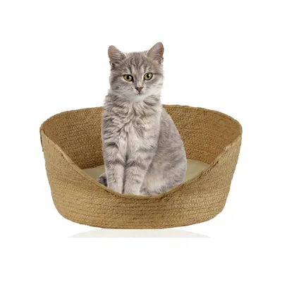 Rohrschneider Panier pour chat Sunny