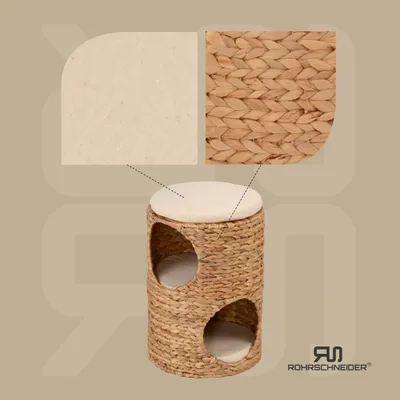 Rohrschneider Grotte du chat