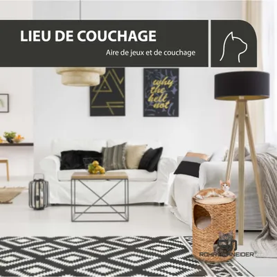 Rohrschneider Grotte du chat