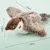 CoolPetGear Oiseau en peluche électrique - Jouet pour chat CoolPetGear Oiseau en peluche électrique - Jouet pour chat