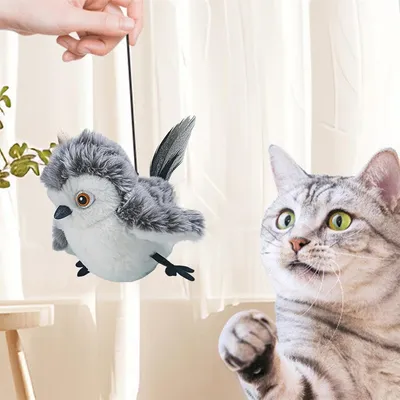 CoolPetGear Jouet pour chat Chirping Bird