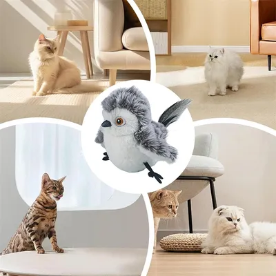 CoolPetGear Jouet pour chat Chirping Bird