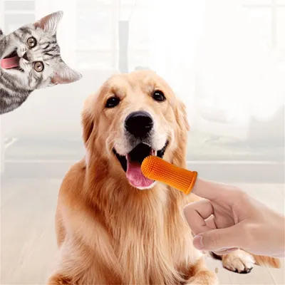 CoolPetGear Lot de brosses à dents pour chien 4 pièces.