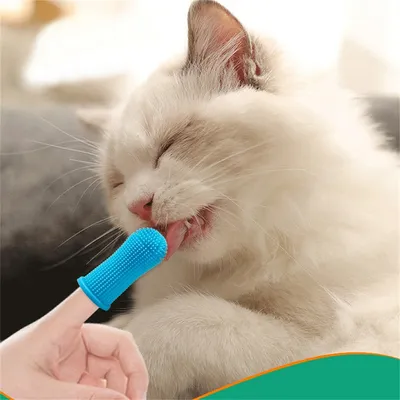 CoolPetGear Lot de brosses à dents pour chien 4 pièces.