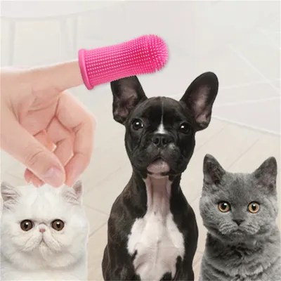 CoolPetGear Lot de brosses à dents pour chien 4 pièces.