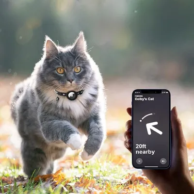 CoolPetGear Collier pour chat