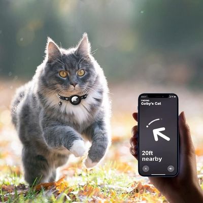 CoolPetGear Collier pour chat pour traqueur Airtag
