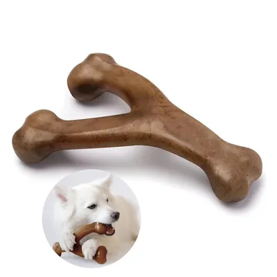 CoolPetGear Wishbone pour chien