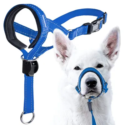 CoolPetGear Licol  anti-traction pour chien de taille moyenne