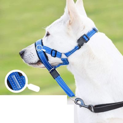 CoolPetGear Licol  anti-traction pour chien de taille moyenne