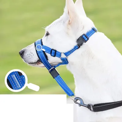 CoolPetGear Licol  anti-traction pour chien de taille moyenne