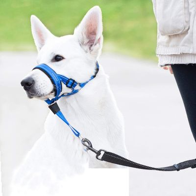 CoolPetGear Licol  anti-traction pour chien de taille moyenne
