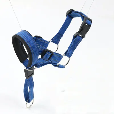CoolPetGear Licol  anti-traction pour chien de taille moyenne