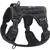 CoolPetGear Harnais pour chien