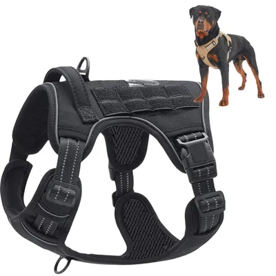 CoolPetGear Harnais pour chien