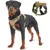 CoolPetGear Harnais pour chien