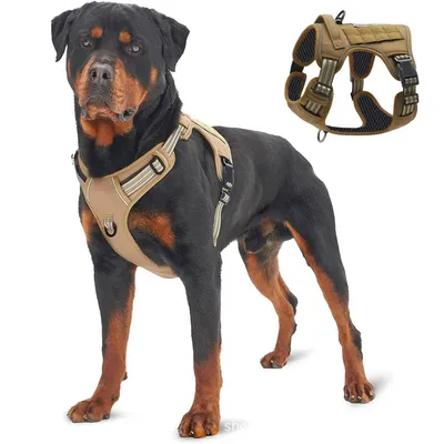 CoolPetGear Harnais pour chien