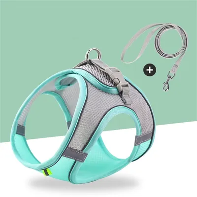 Pet Planet Laisse pour chaton Type de sangle Pet Planet Laisse pour chaton Type de sangle