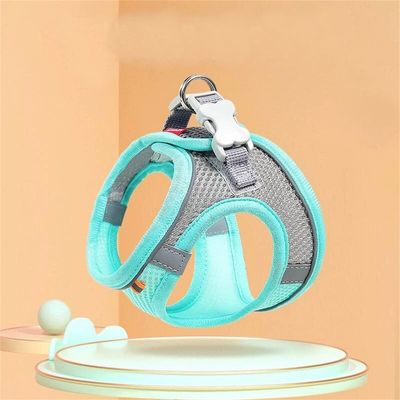 Pet Planet Laisse pour chaton Type de sangle