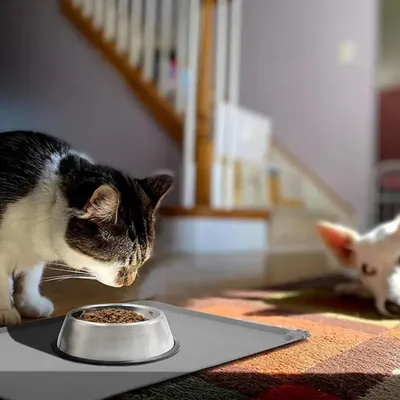 IntiMeg Tapis de nourriture en silicone pour chien et chat