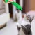 MCBOSON  Jouet à mâcher pour chat portable en silicone