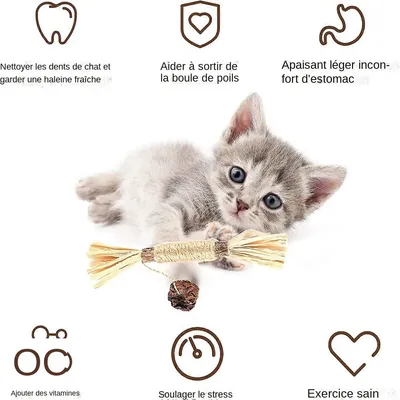 MCBOSON Pack de 3  bâtonnets d'herbe à chat