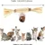 MCBOSON Pack de 3 bâtonnets d'herbe à chat MCBOSON Pack de 3 bâtonnets d'herbe à chat