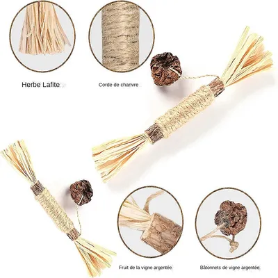 MCBOSON Pack de 3  bâtonnets d'herbe à chat