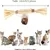MCBOSON Pack de 3  bâtonnets d'herbe à chat
