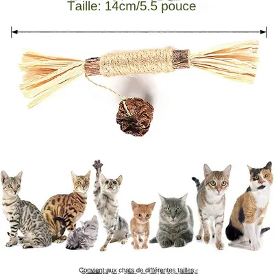 MCBOSON Pack de 3  bâtonnets d'herbe à chat