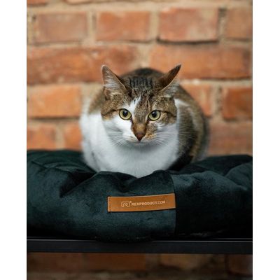 Coco adorable coussin rond vert foncé