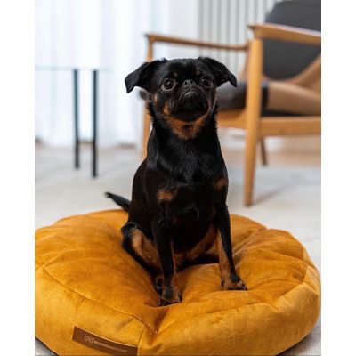 Coco adorable coussin rond jaune