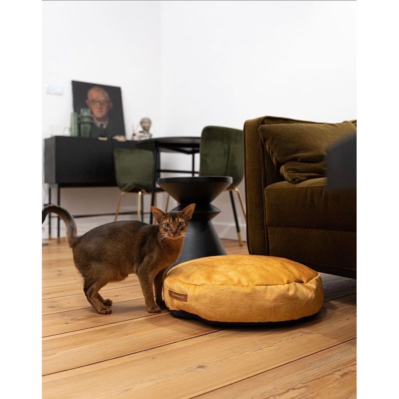 Coco adorable coussin rond jaune