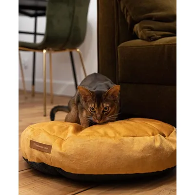 Coco adorable coussin rond jaune