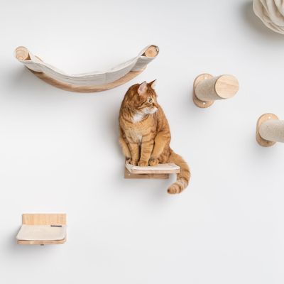 Meubles de mur d'escalade Chat - Plateaux muraux - Set 3