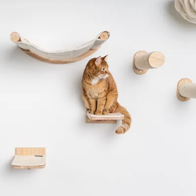 Meubles de mur d'escalade Chat - Plateaux muraux - Set 3