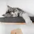 Mur d’escalade pour chat - Luxueux lit mural pour chat