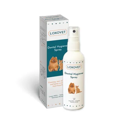 Loxovet Spray d’hygiène dentaire