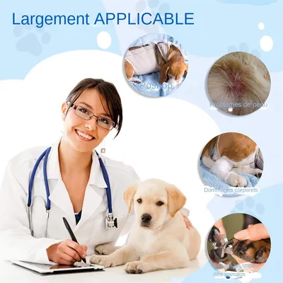 MCBOSON  Collier conique gonflable réglable pour chiens (taille L)