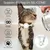 MCBOSON Blumenhalsband für Katzen MCBOSON Blumenhalsband für Katzen