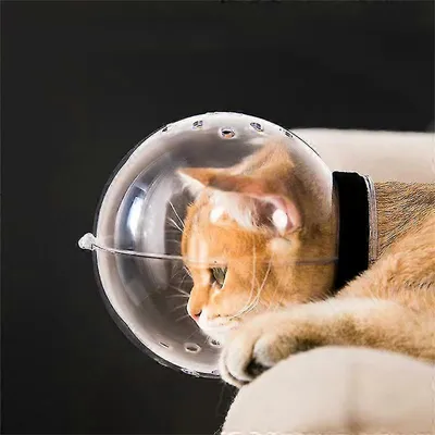 MCBOSON Muselière respirante anti-morsure et anti-léchage pour chats MCBOSON Muselière respirante anti-morsure et anti-léchage pour chats