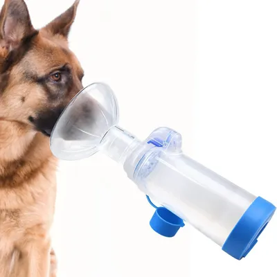 MCBOSON  Ensemble de nébuliseur pour chat et chien